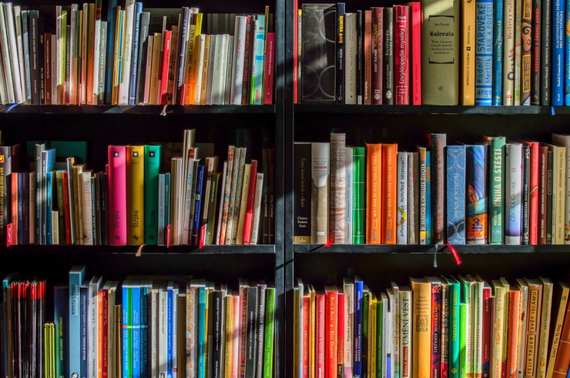 vente-VALLAURIS-min_books_bookstore_book_reading_shop_writer_sale_books_read-822866